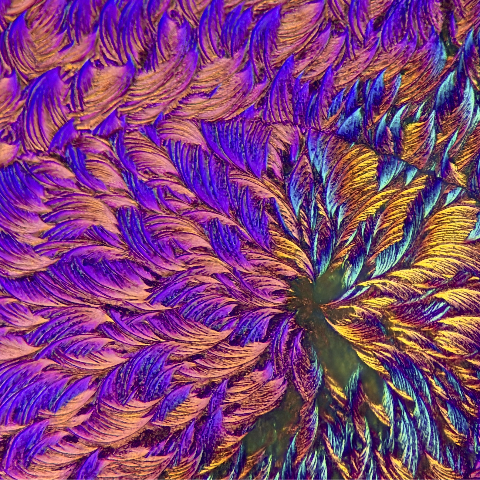 Image+16.08.26+%C3%A0+17.10.png