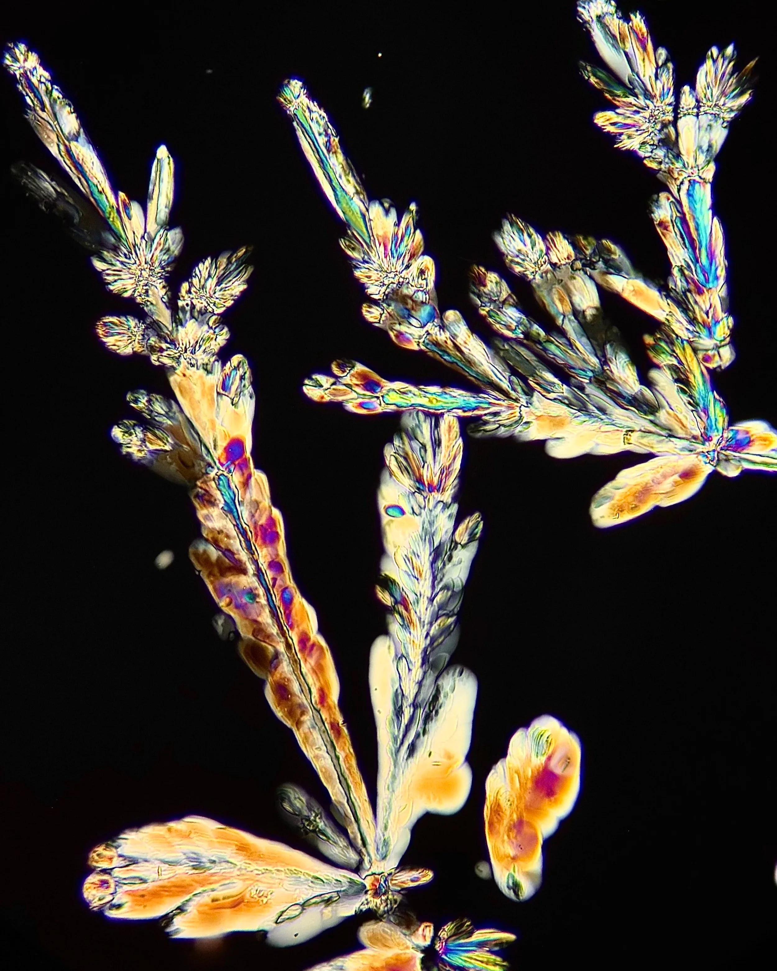 Potassium bitartrate (C₄H₆O₆) White Wine 