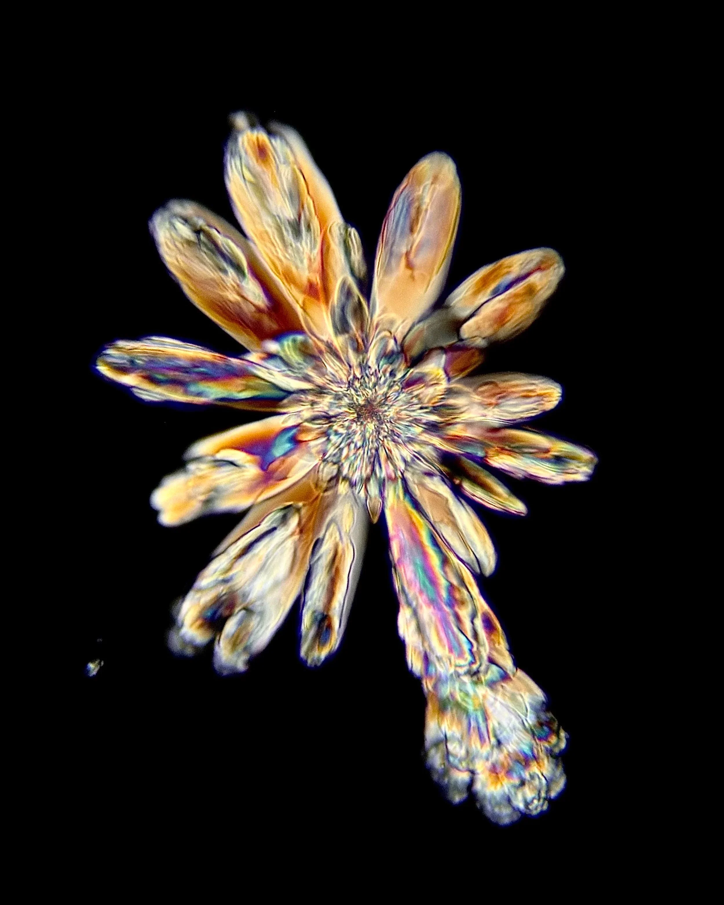 Potassium bitartrate (C₄H₆O₆) White Wine 