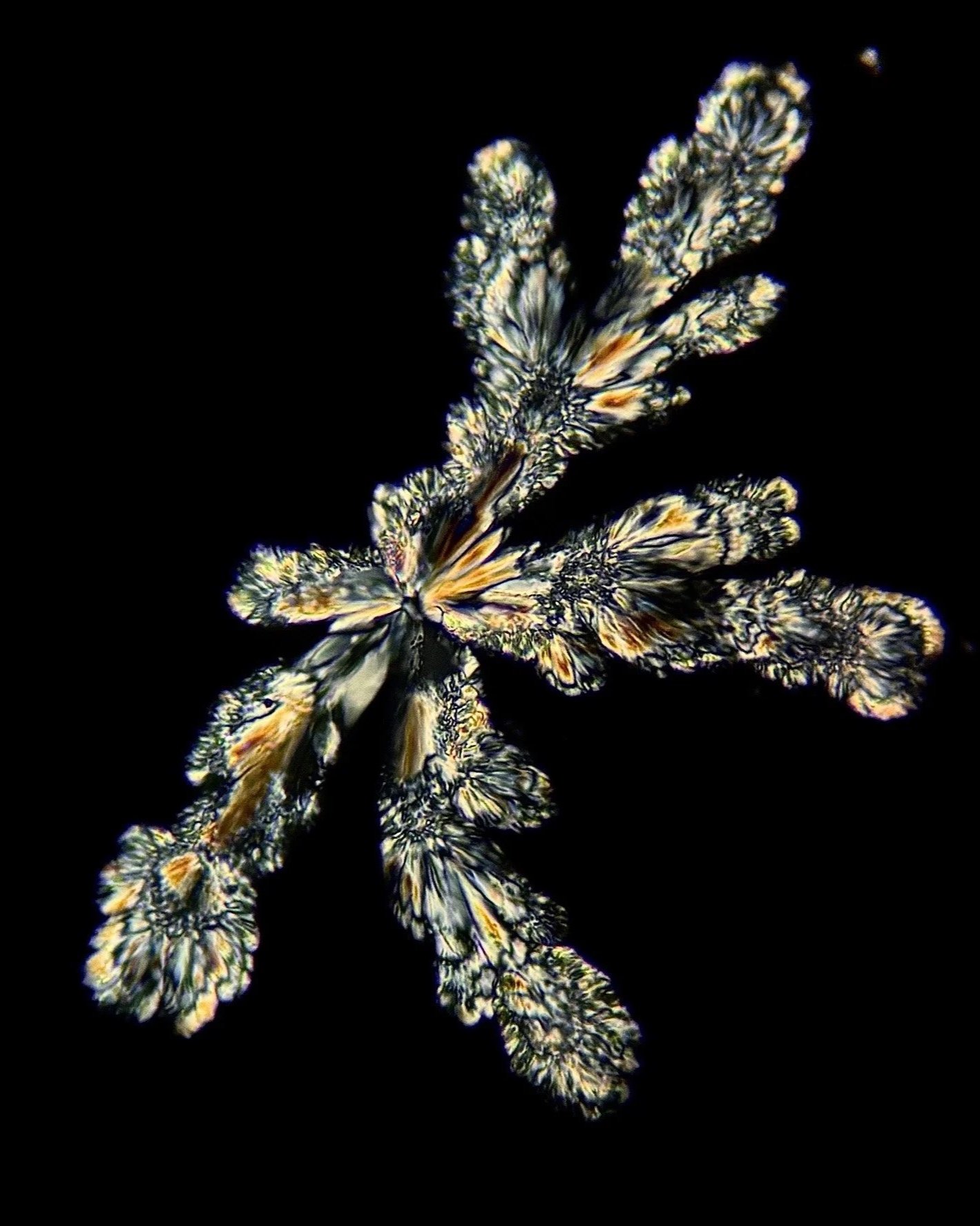 Potassium bitartrate (C₄H₆O₆) White Wine 