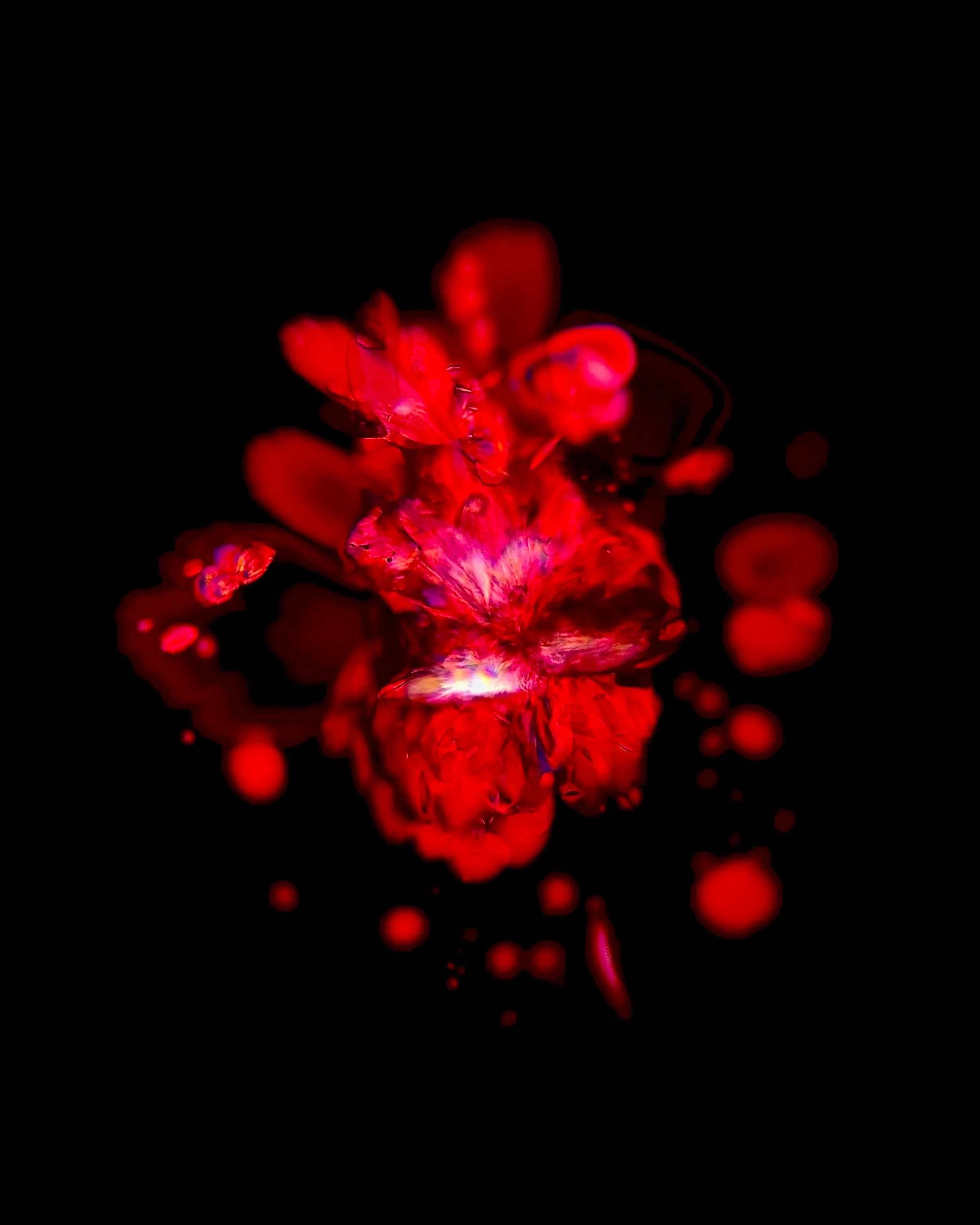 Potassium bitartrate (C₄H₆O₆) Red Wine 