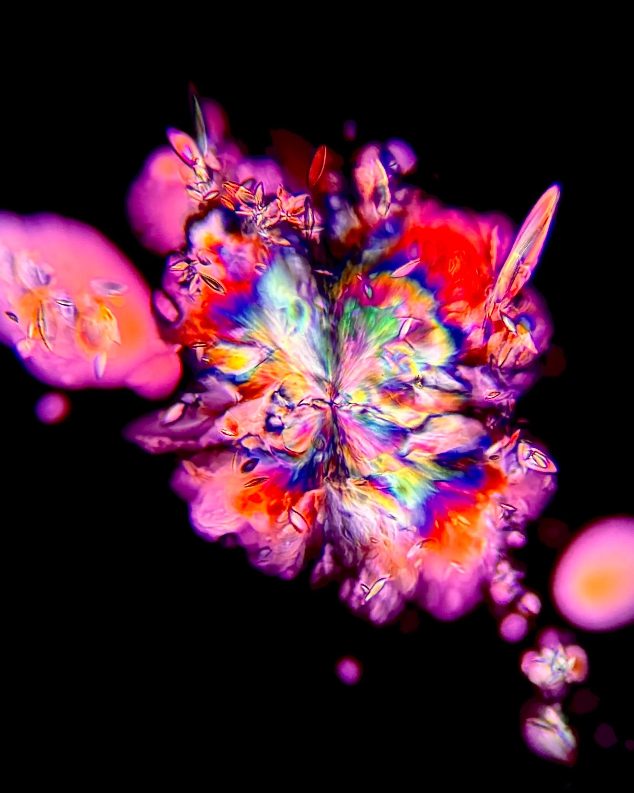 Potassium bitartrate (C₄H₆O₆) Red Wine 