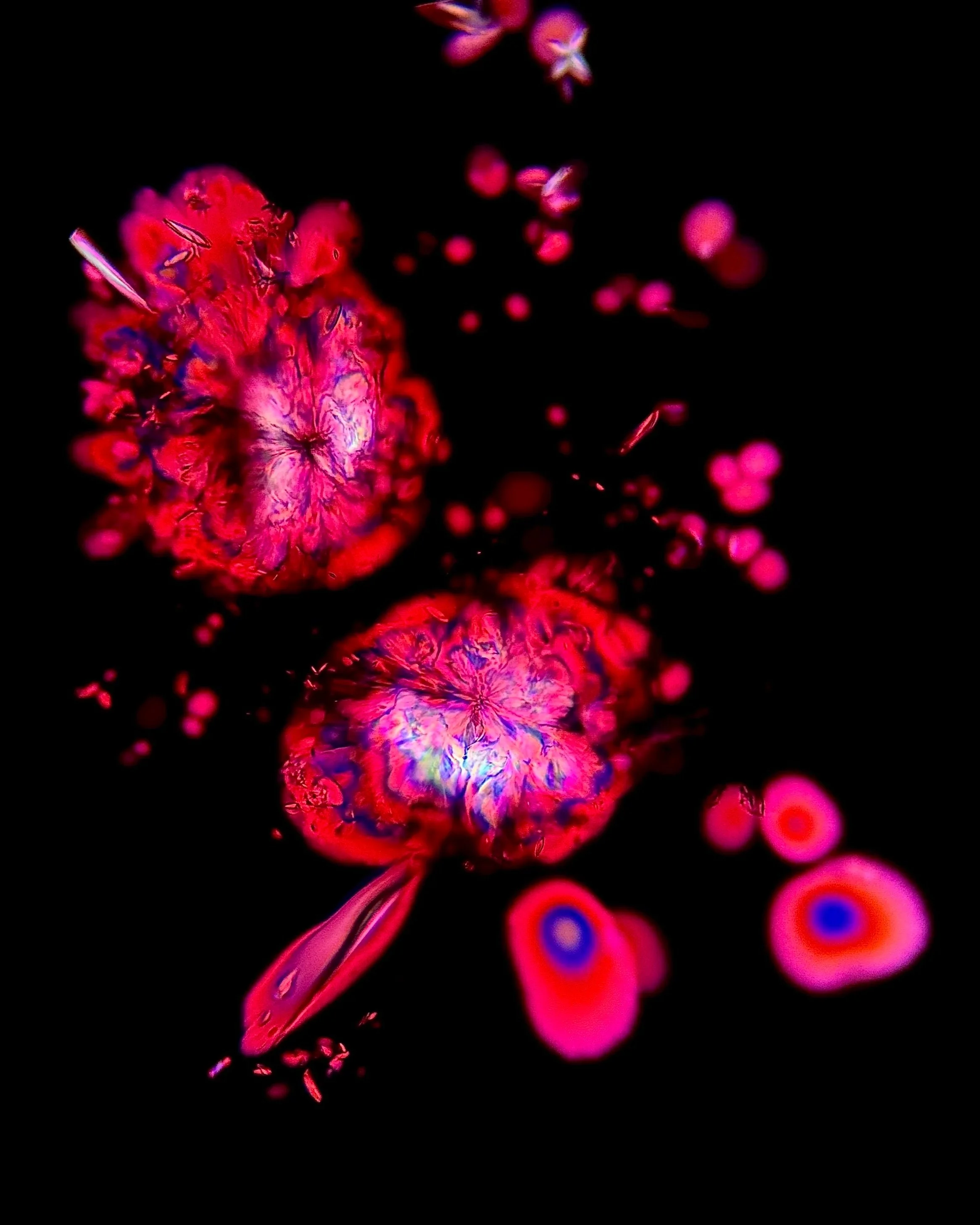 Potassium bitartrate (C₄H₆O₆) Red Wine 