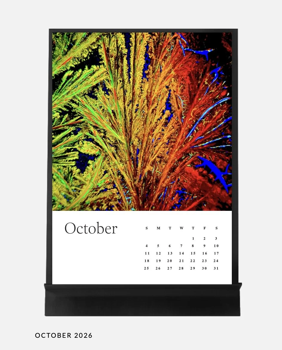 Image 14.01.26 à 17.04 (5).jpeg