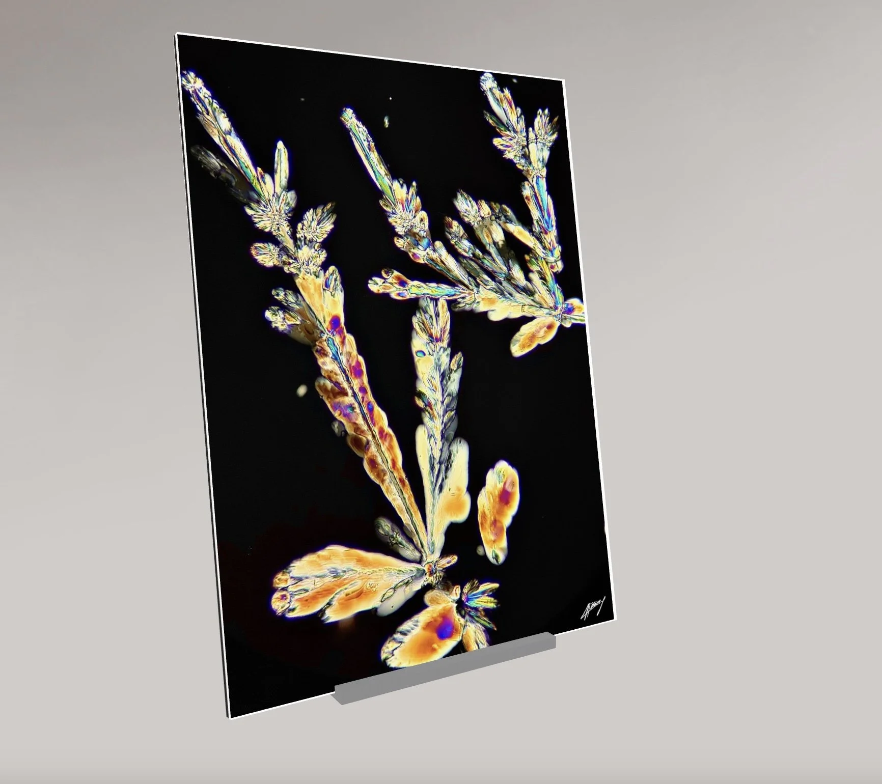 Image 12.01.26 à 16.45.jpeg