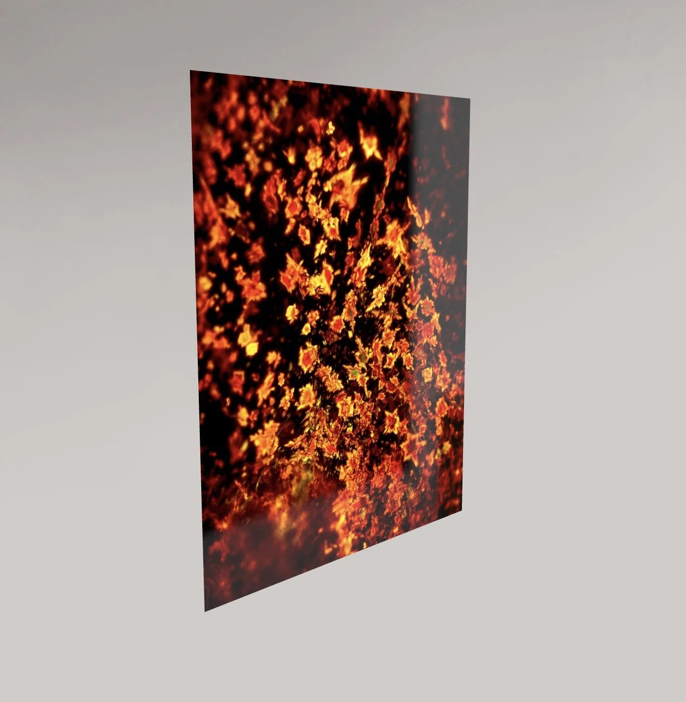 Image 13.01.26 à 01.21.jpeg