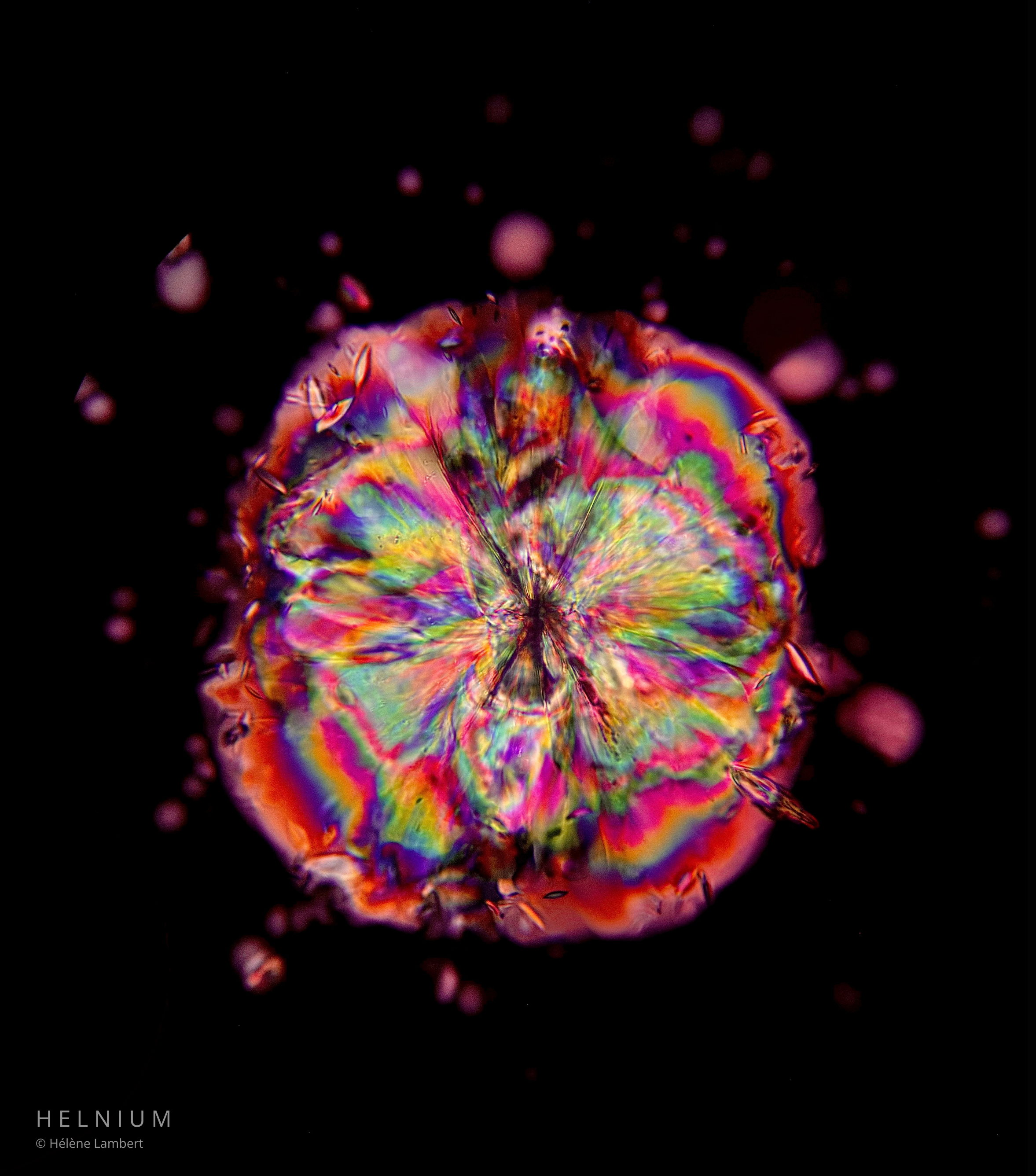 The Wine Splash, red wine microscopic texture photographed through scientific microscopy. Helnium.