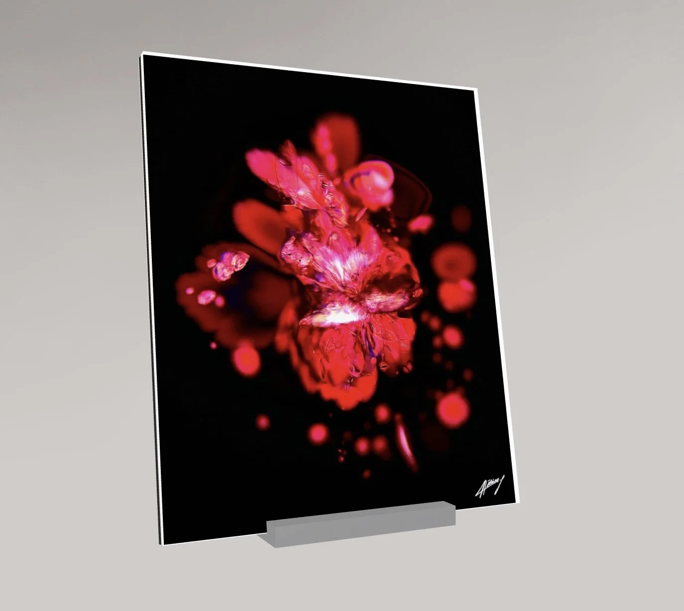 Image 04.01.26 à 16.20.jpeg