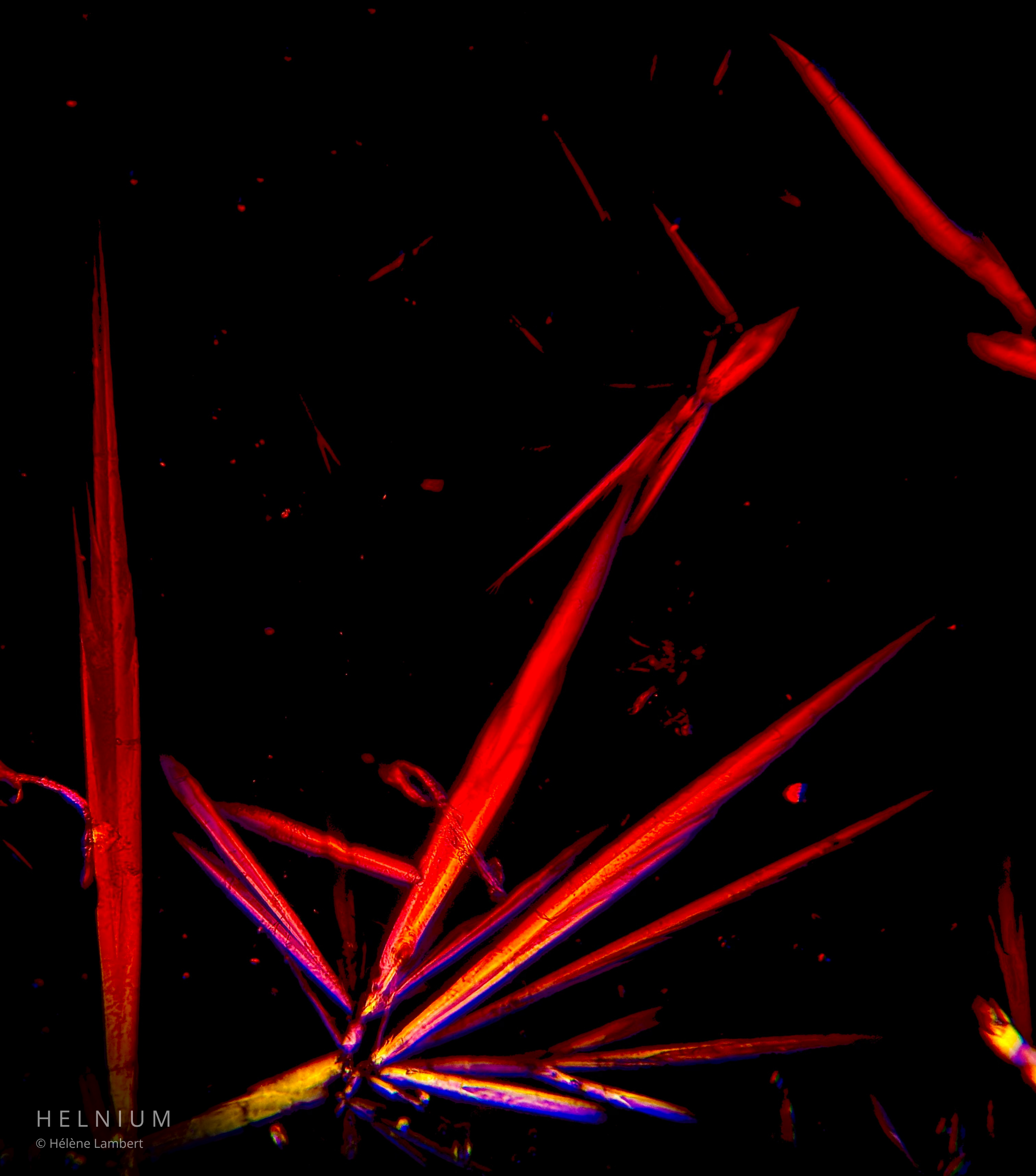 Vitamin B12 cyanocobalamin crystalline sample under polarized light microscopy. Helnium.