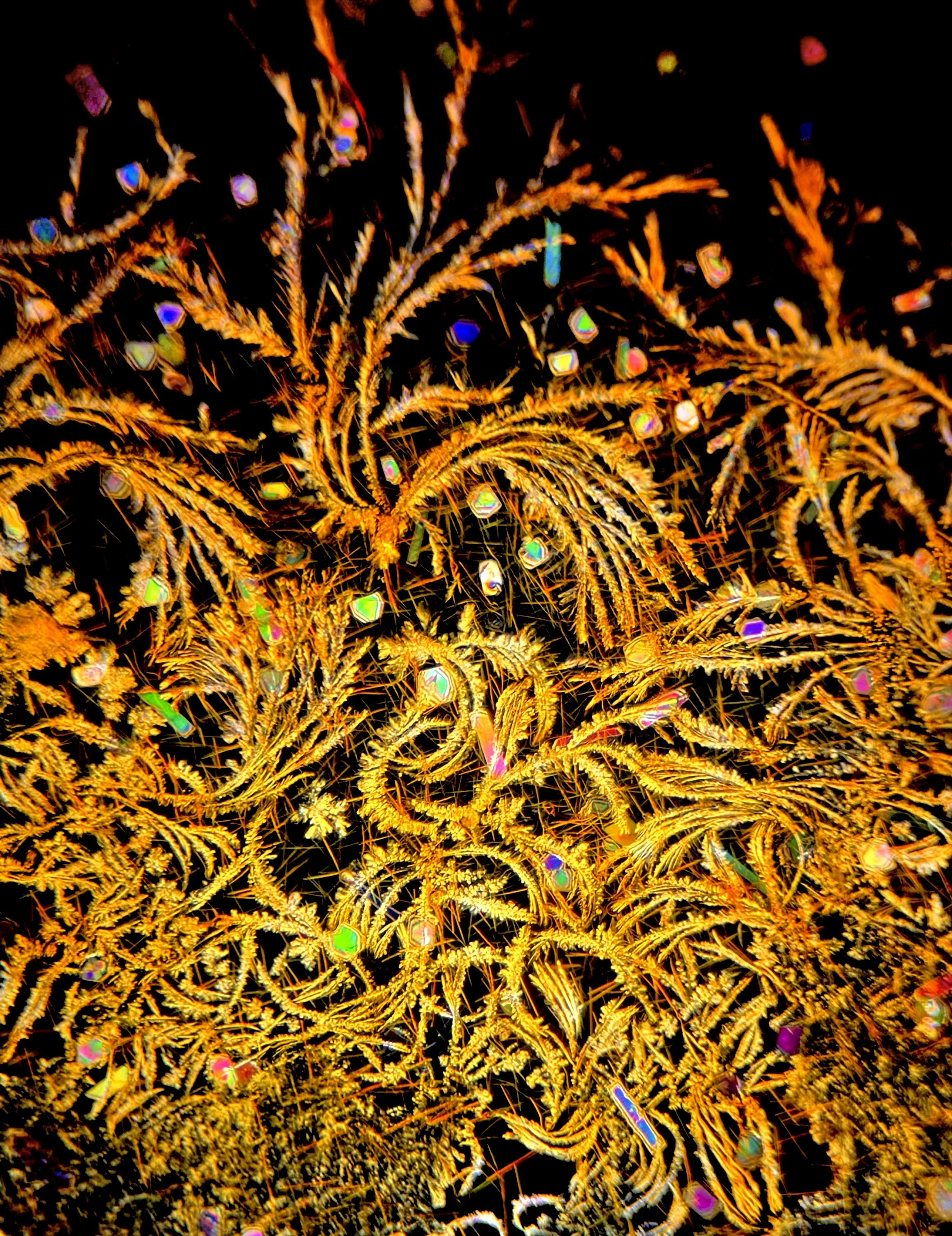 Dendritic crystal formations from a vitamin B50 complex photographed by Hélène Lambert for Helnium using polarized light microscopy.