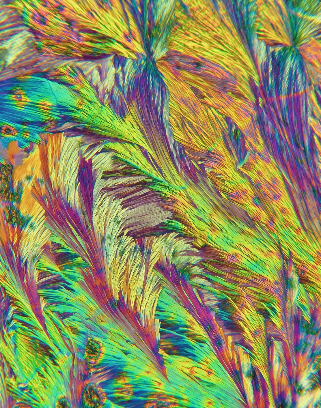 Second crystalline microscopy image of niacinamide vitamin B3, photographed under polarized light by Helnium.