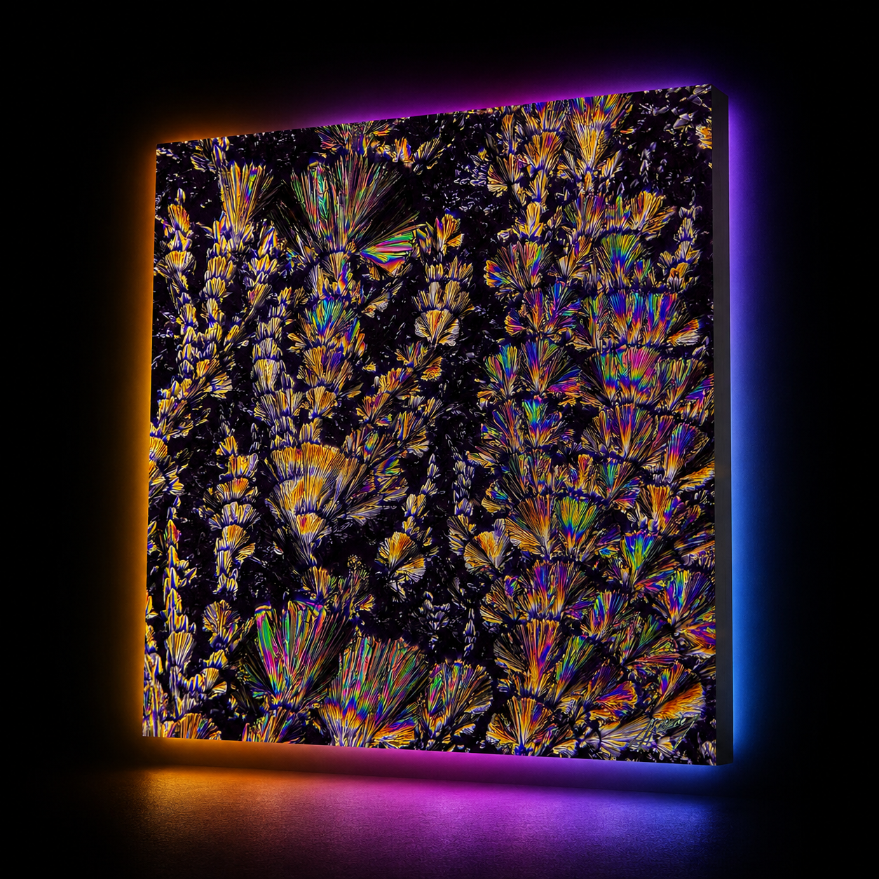 Aluminium Dibond : Cristaux de Vitamine C