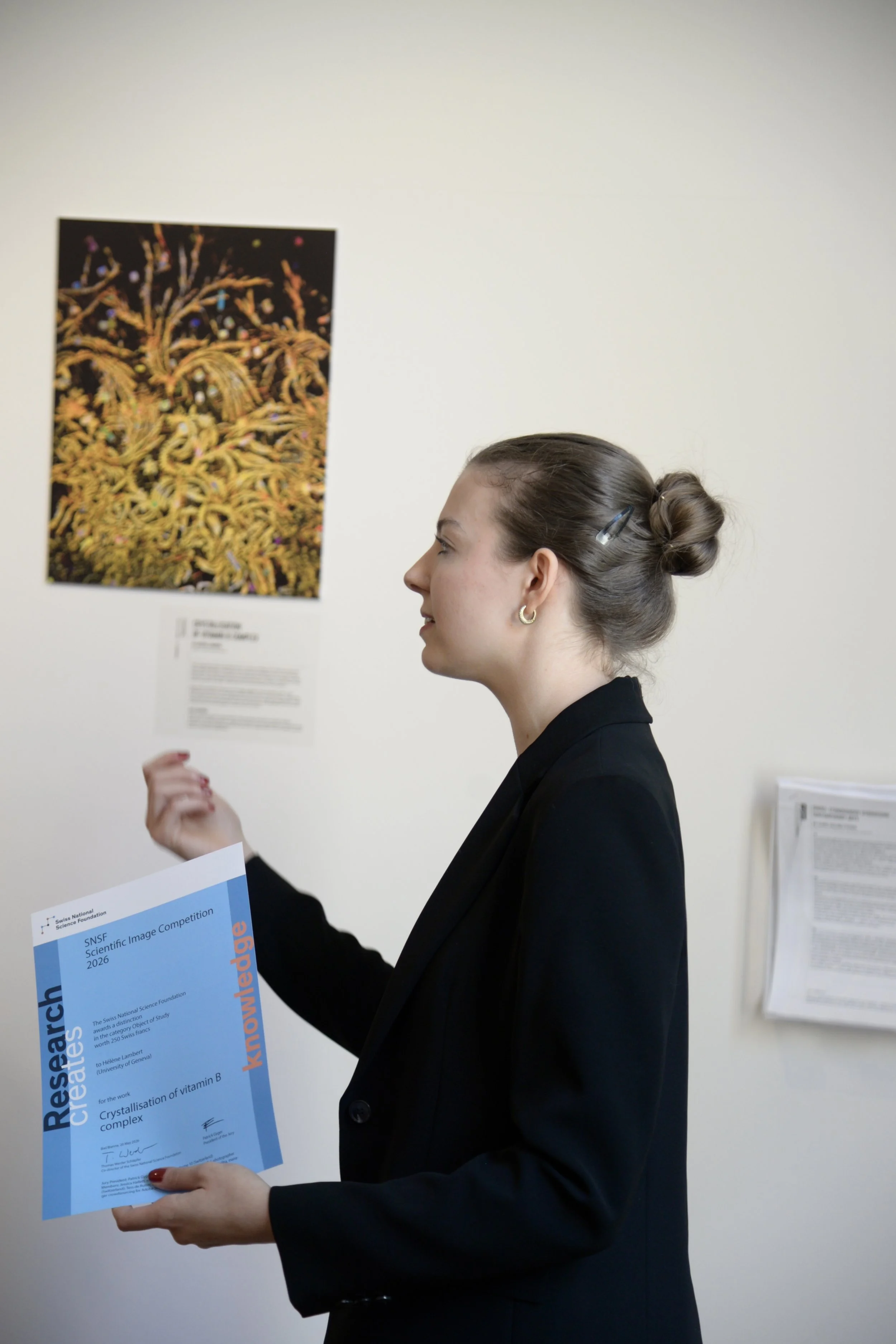 _DSC7040.jpeg