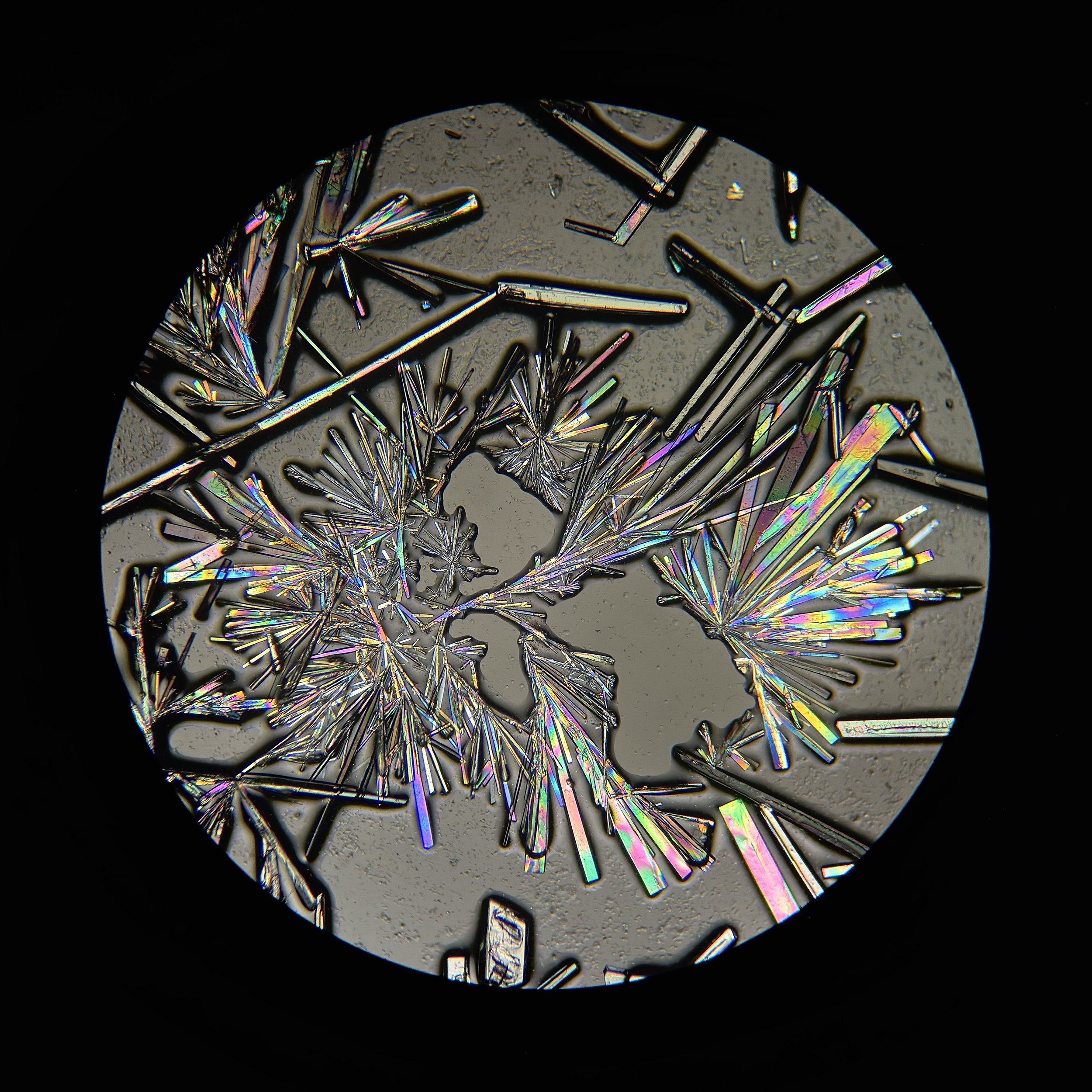 Creatine (C₄H₉N₃O₂)