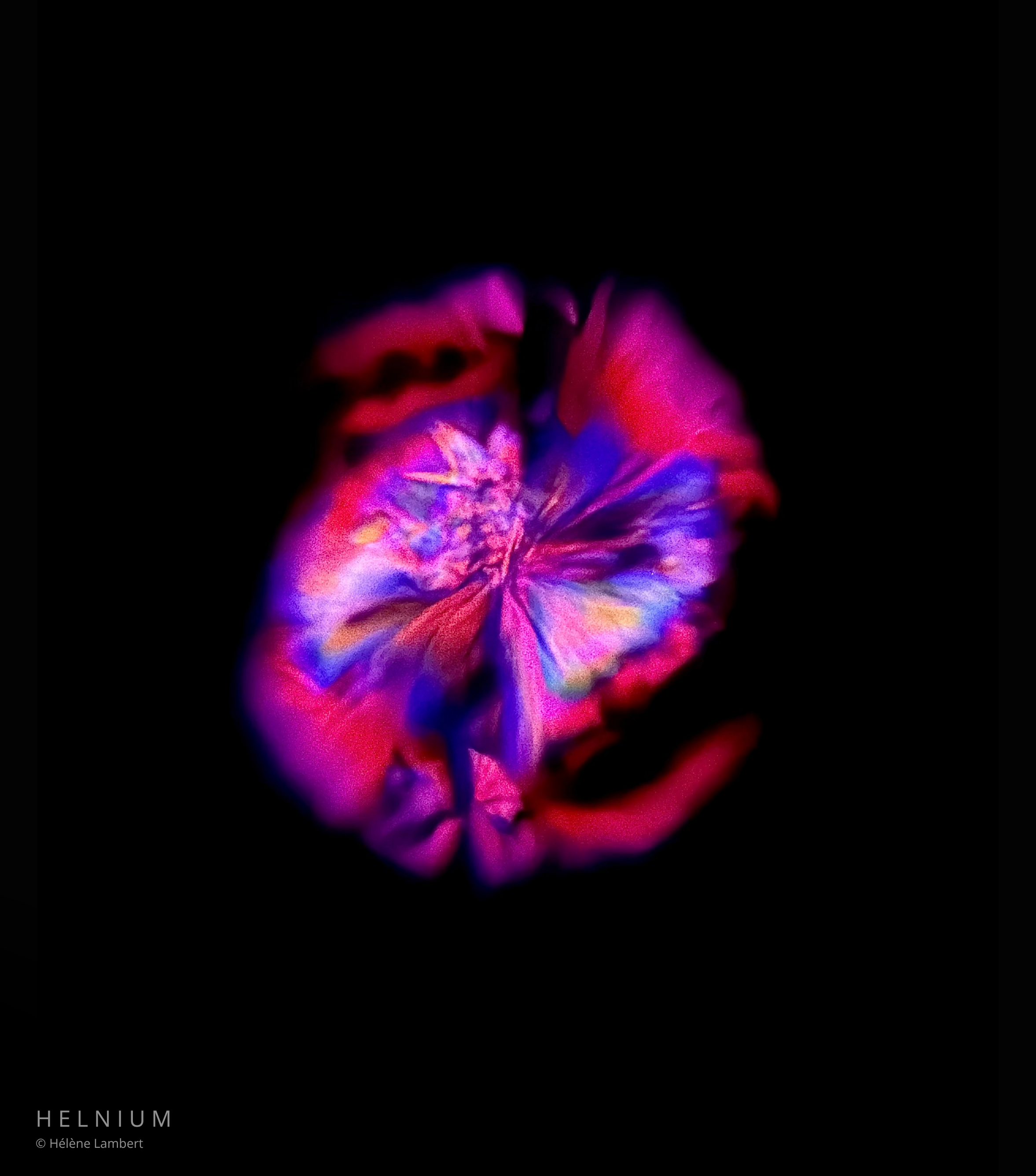 Velvet Constellation, red wine microscopic patterns and crystalline textures photographed by Helnium.