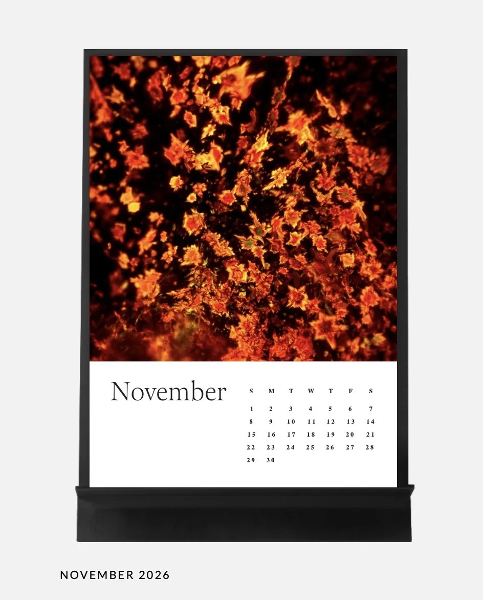 Image 14.01.26 à 17.04 (6).jpeg