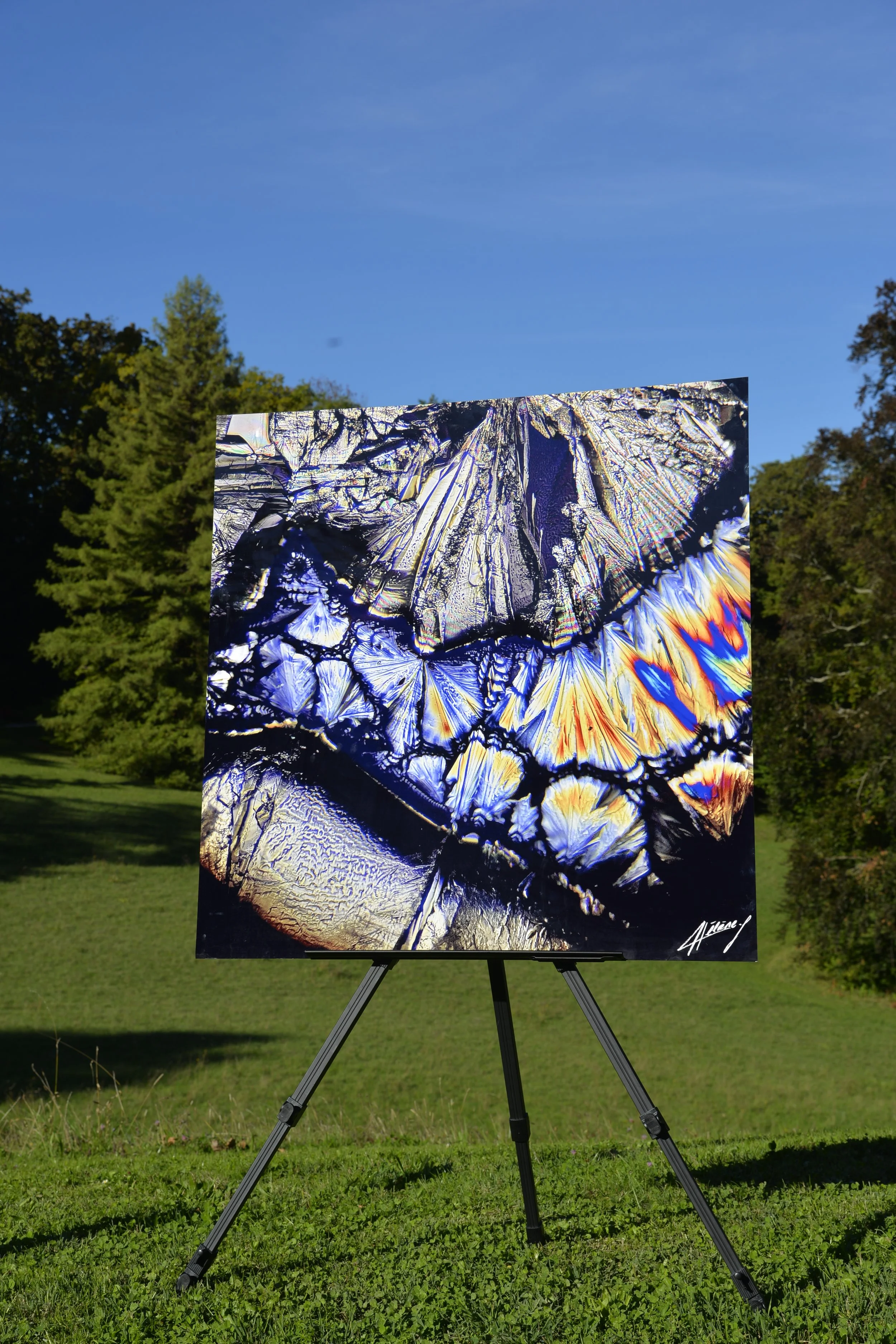 Aluminium Dibond : Métamorphose Minérale Cristaux d'acide citrique