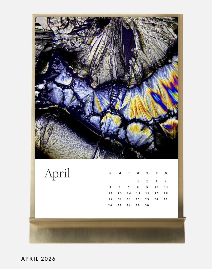 Image 10.01.26 à 11.33.jpeg