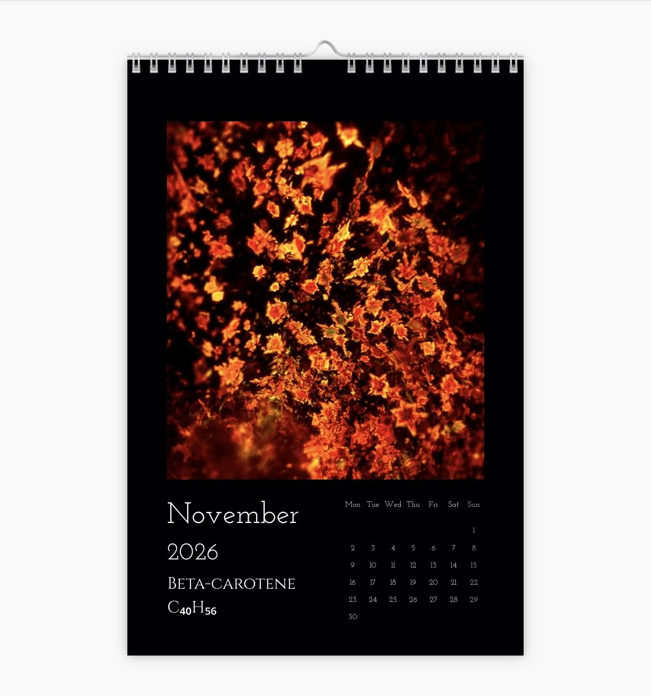 Image 30.12.25 à 20.50 (6).jpeg