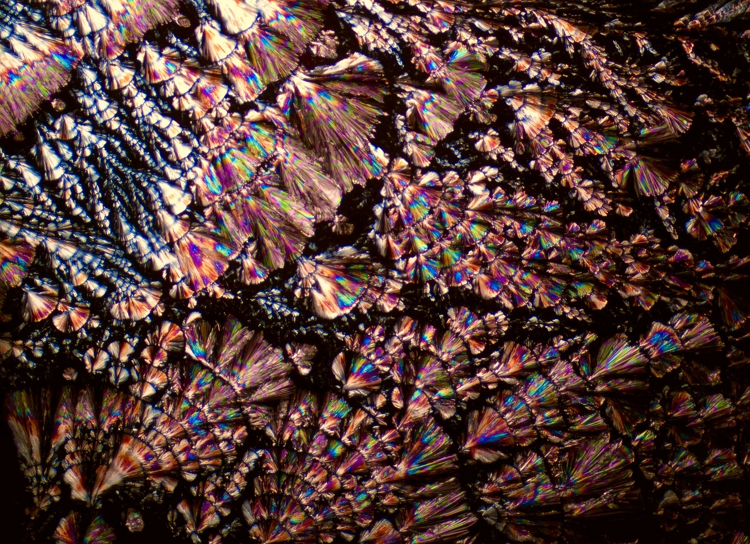 Second polarized light microscopy photograph of vitamin C ascorbic acid crystals by Helnium, displaying a different crystalline formation.
