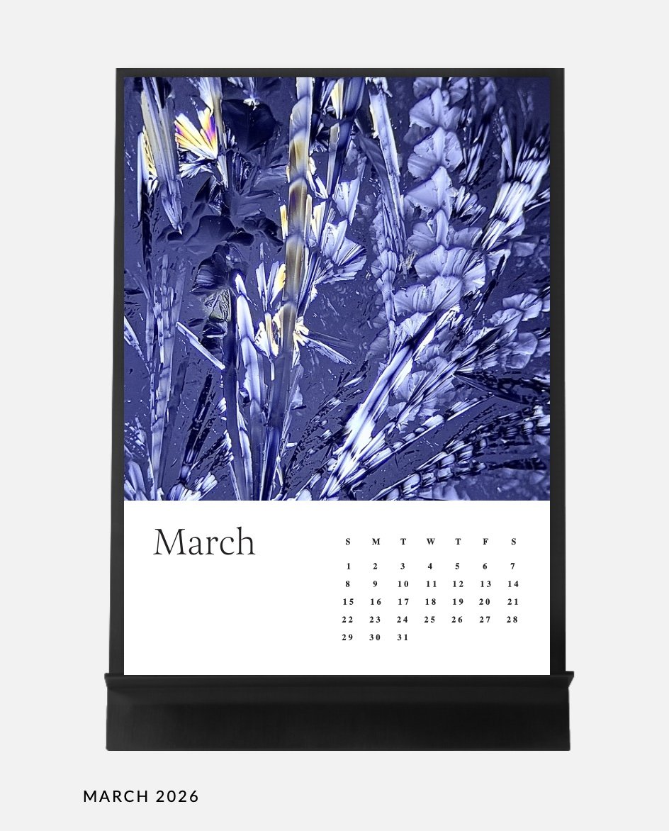 Image 14.01.26 à 17.03 (2).jpeg