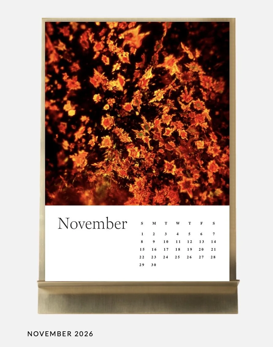 Image 10.01.26 à 11.34.jpeg