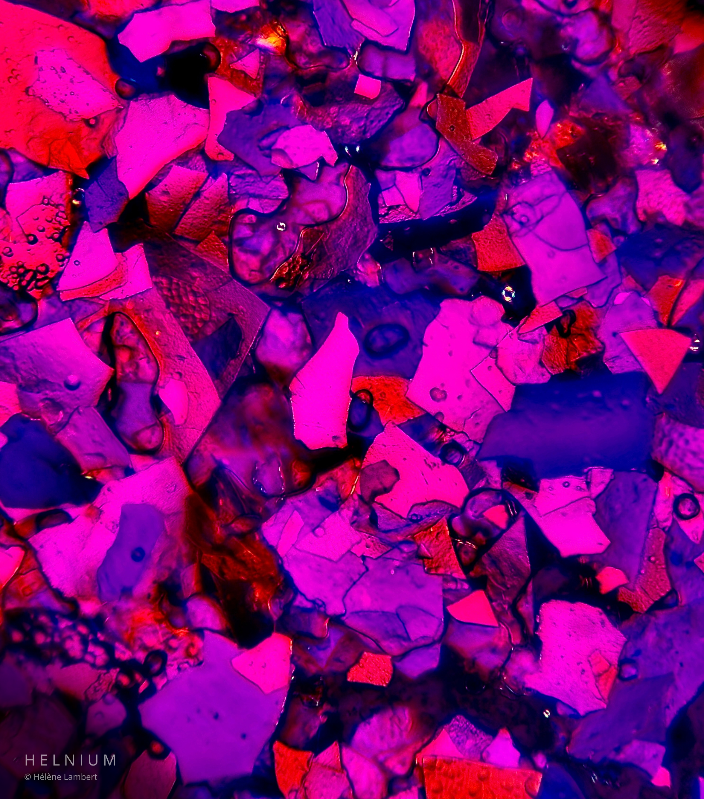 Pink eyeshadow under the microscope, revealing microscopic makeup pigments, reflective particles and cosmetic texture. Helnium Scientific Design.