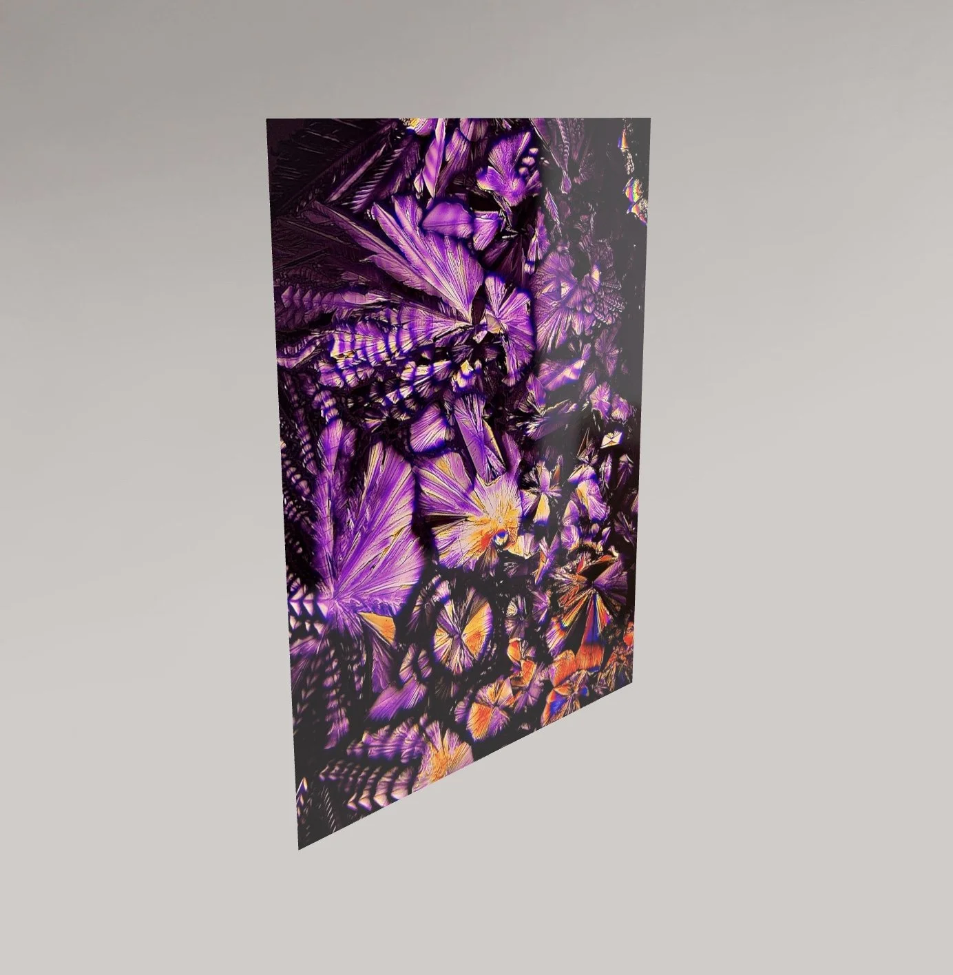 Image 13.01.26 à 00.51.jpeg