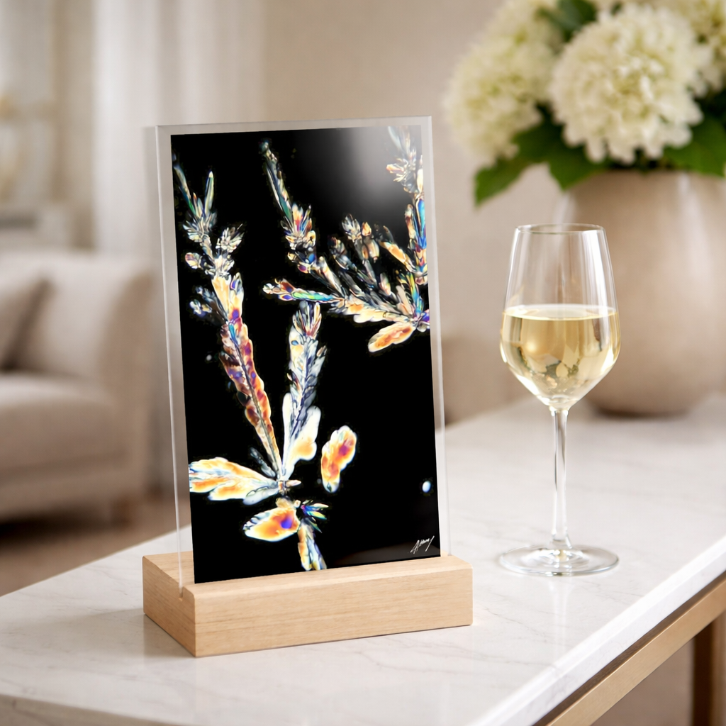 ChatGPT Image 7 janv. 2026 à 01_39_37.png