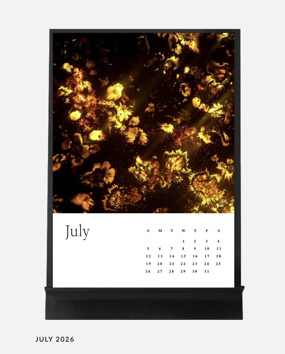 Image 14.01.26 à 17.04 (2).jpeg