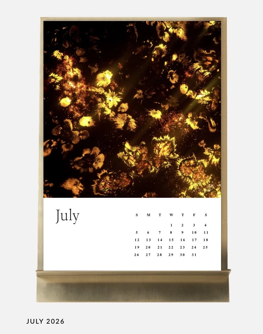 Image 10.01.26 à 11.33 (3).jpeg