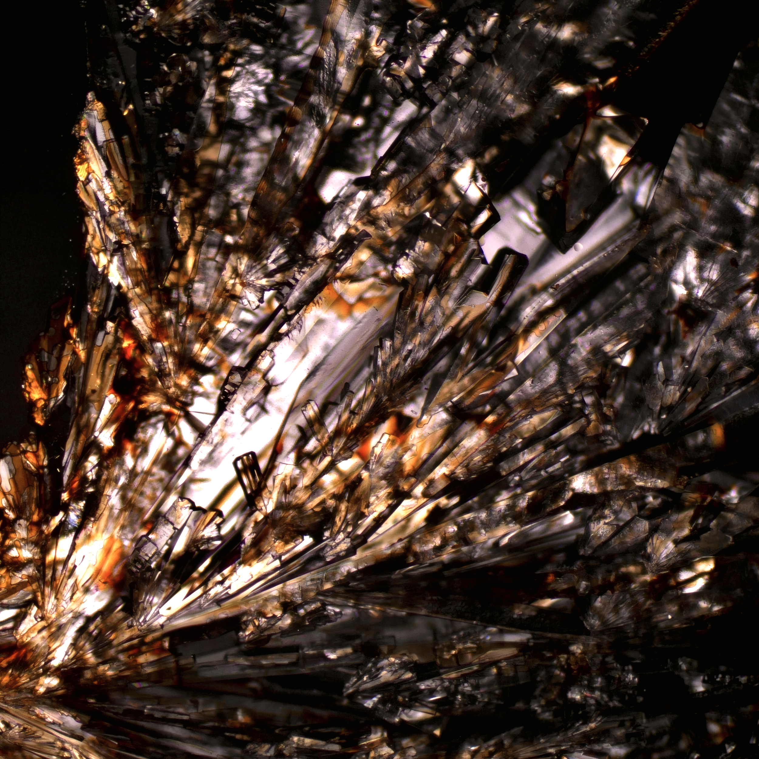 Vitamin C, ascorbic acid crystals photographed through polarized light microscopy by Helnium, revealing colorful crystalline patterns.
