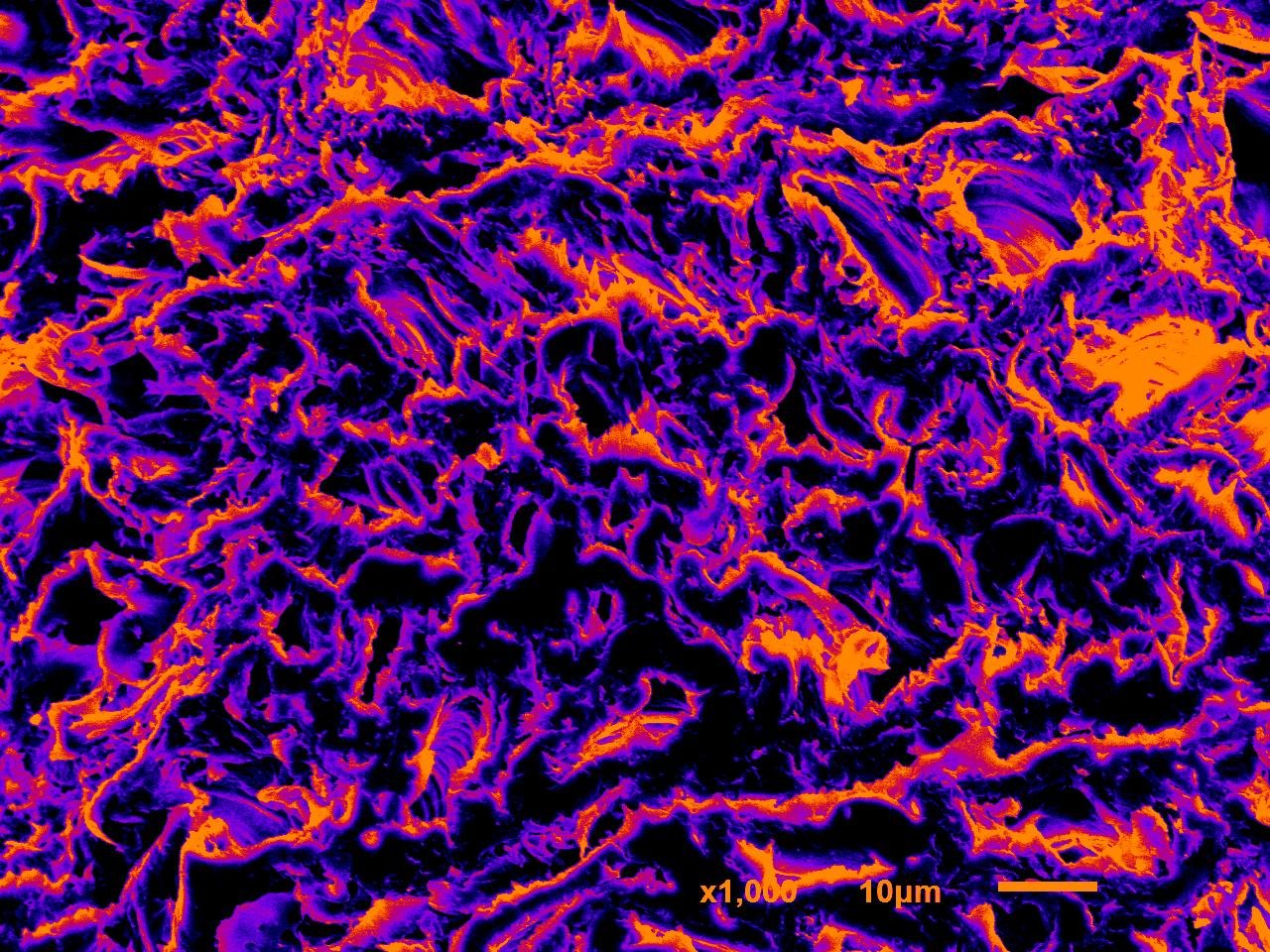 Poplar wood · Longitudinal section · Cellular structure · SEM | Mixed Colors