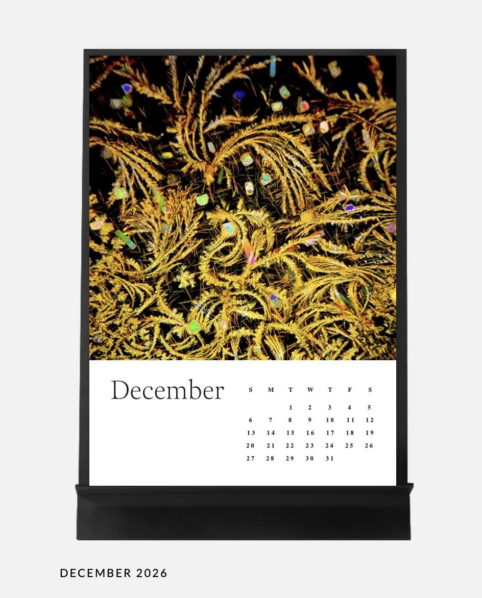 Image 14.01.26 à 17.04 (7).jpeg