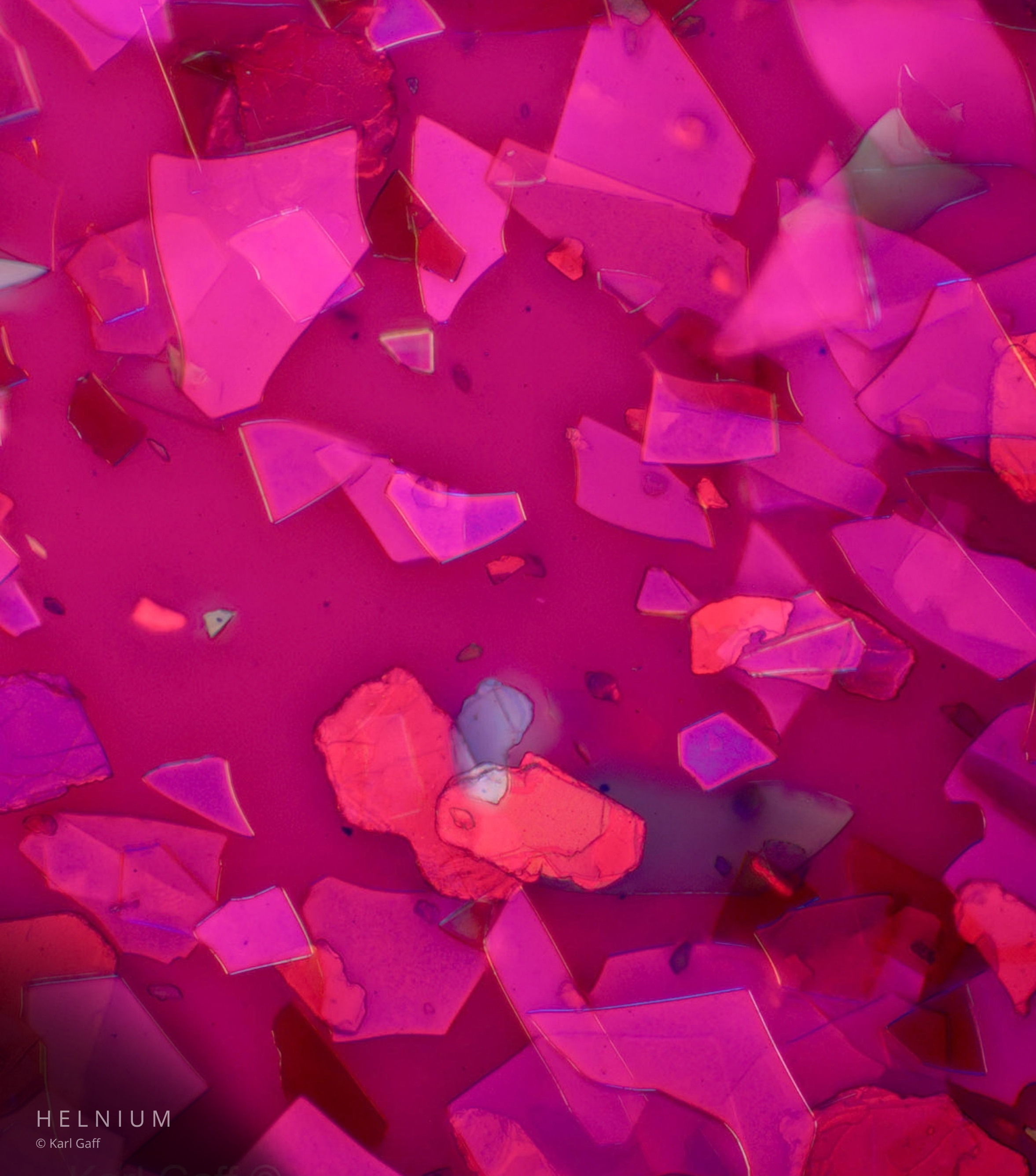 Pink lip gloss photographed under a microscope, showing cosmetic color and microscopic texture. Original scientific photography by Helnium.