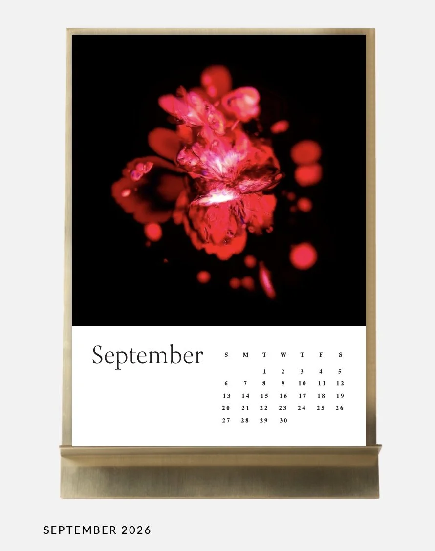 Image 10.01.26 à 11.33 (5).jpeg