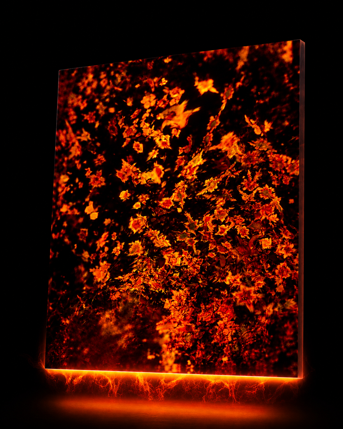 Molecular Fire | β-Carotene crystals