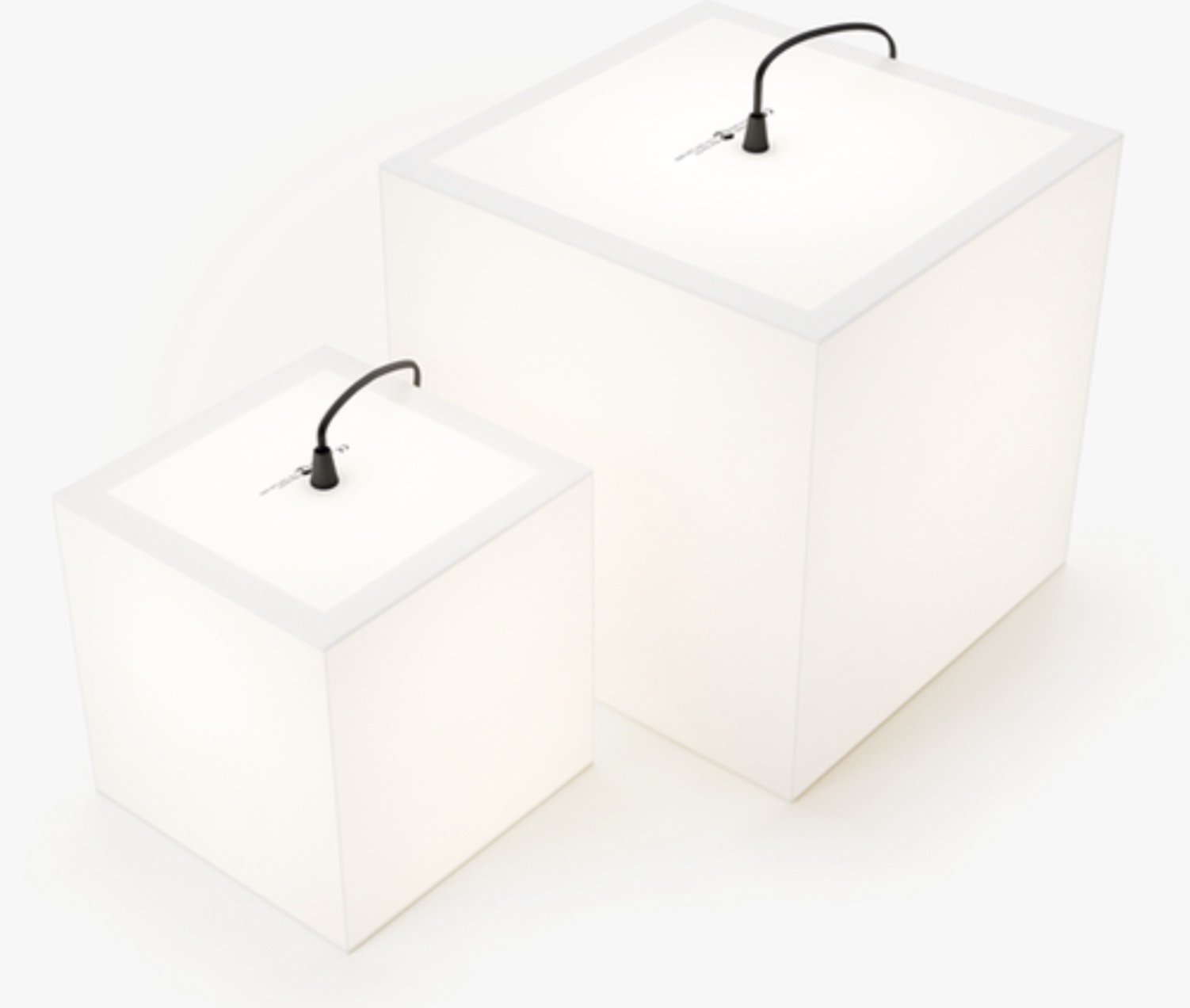 Image 04.01.26 à 01.40.jpeg