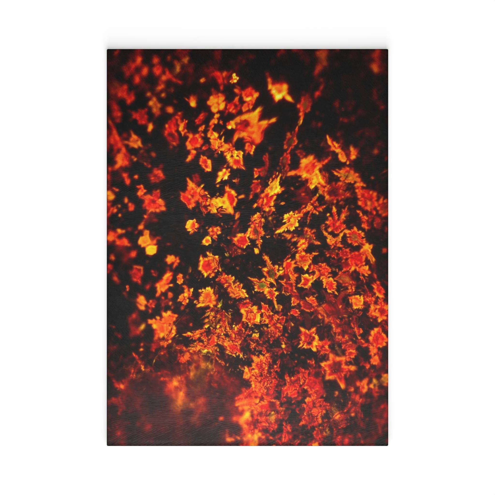 06abab7428bbd2c23b640d23fe7e0103