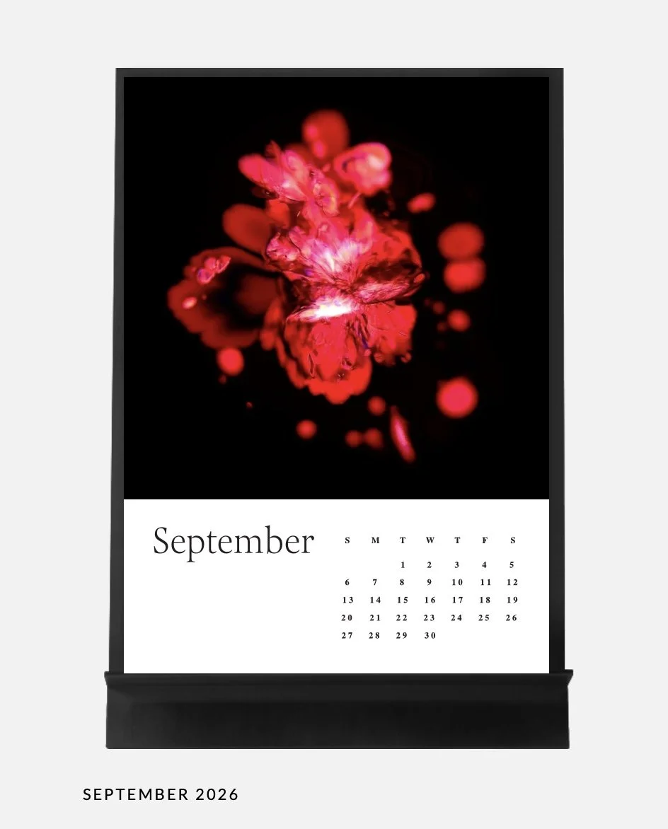 Image 14.01.26 à 17.04 (4).jpeg