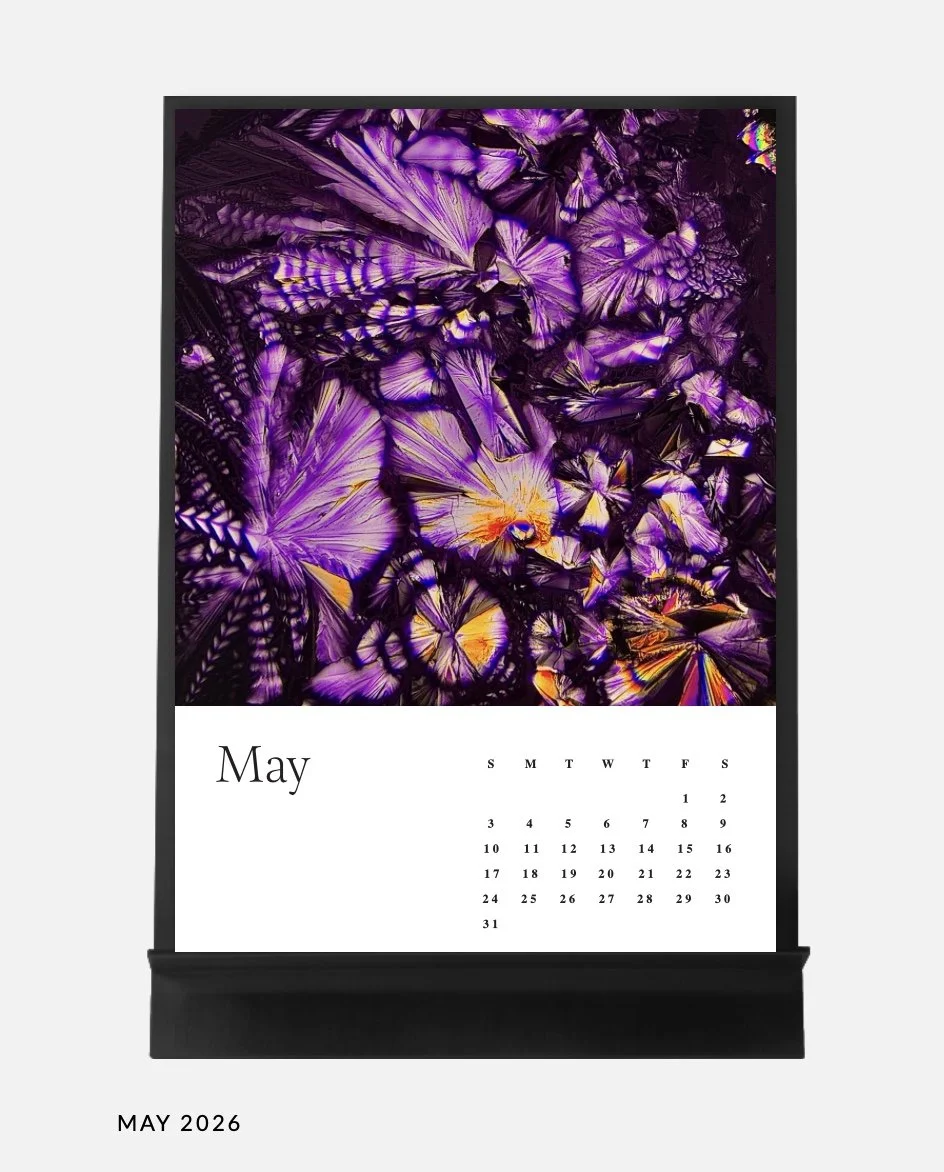 Image 14.01.26 à 17.04.jpeg