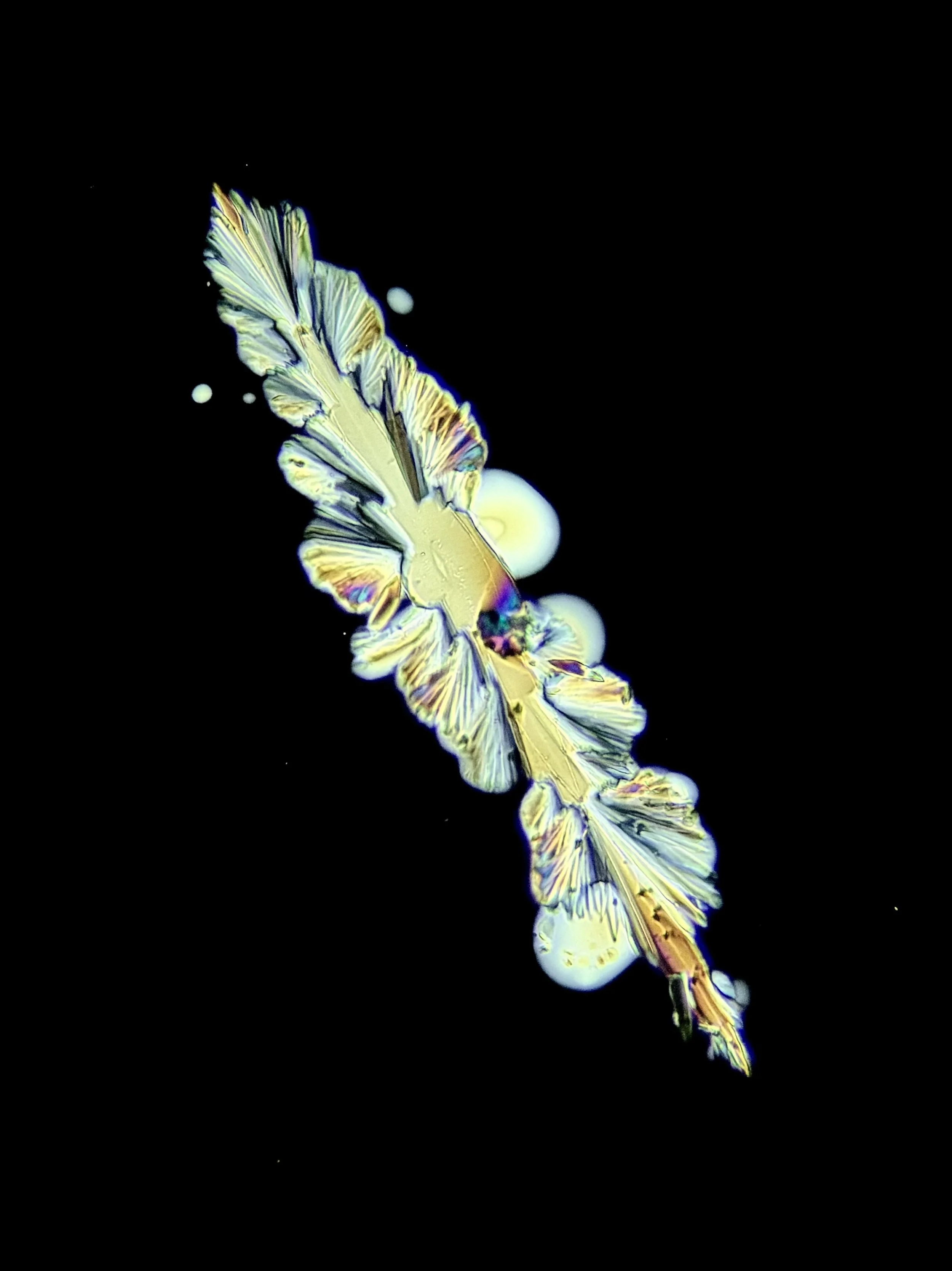 Original Helnium polarized-light microphotograph of white wine crystals