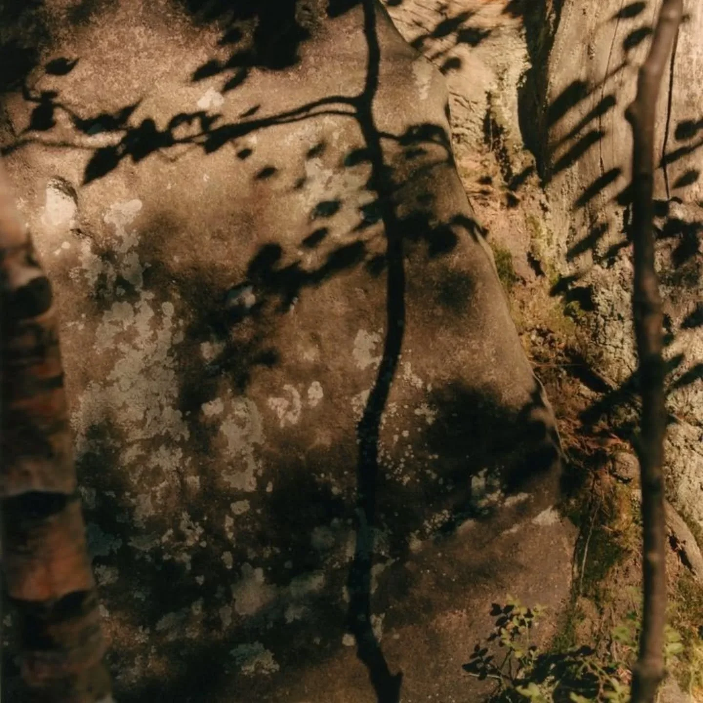 * Textiles in Wood* 

Nature speaks through shadows and textures, offering us a timeless connection to the earth. 🌿 The subtle patterns in wood and the dance of light remind us of the healing energy that surrounds us. Textiles and textures inspired 