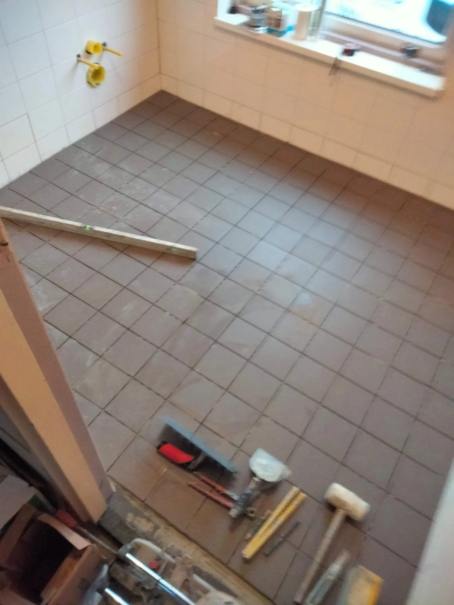 WhatsApp Image 2024-11-26 at 13.56.02.jpeg