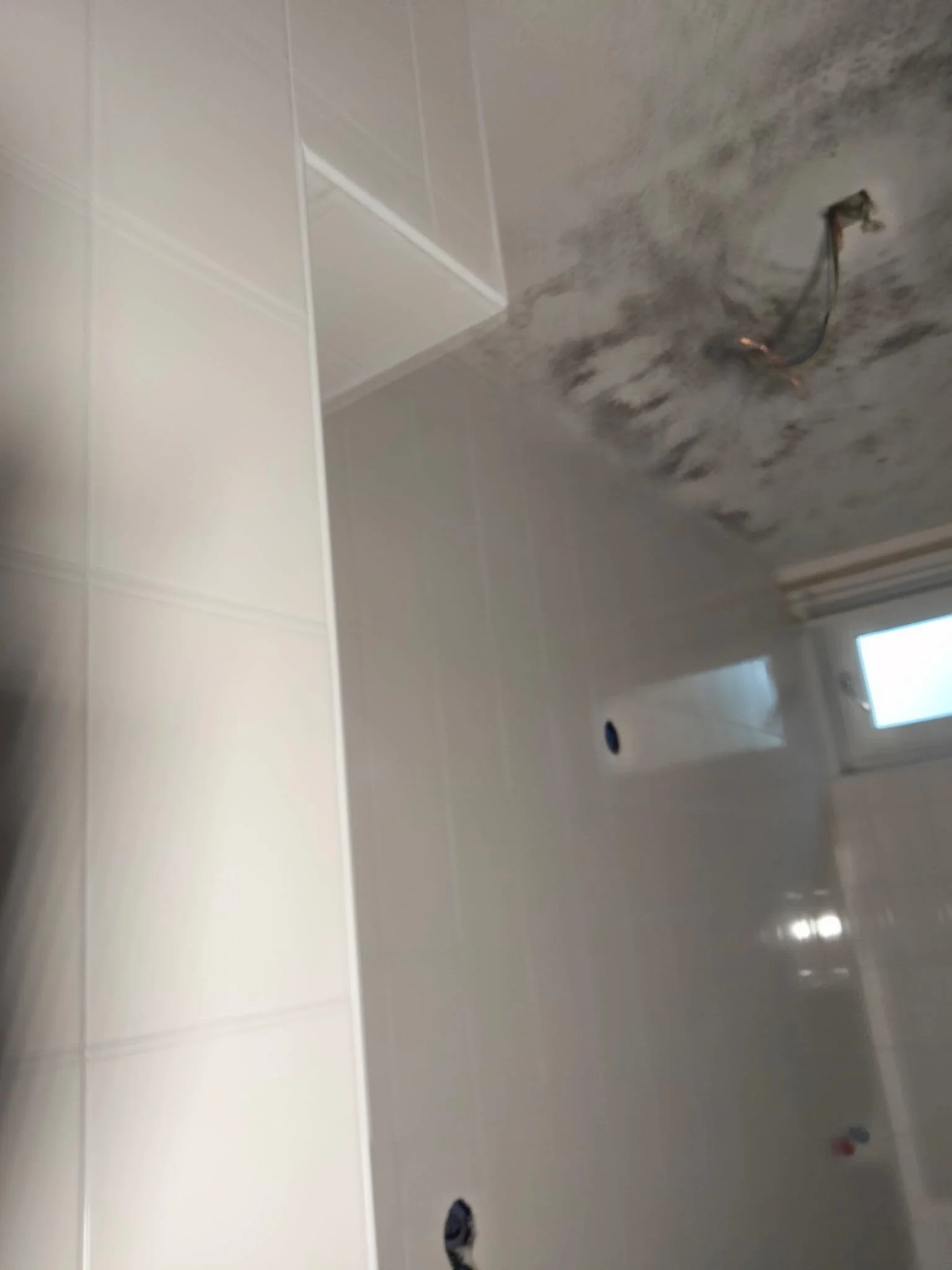 WhatsApp Image 2024-11-26 at 13.56.14.jpeg