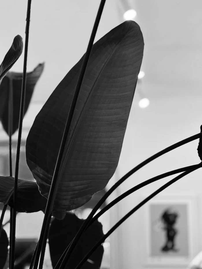 Nature&rsquo;s beauty. 

#widehairspace #wide #coworkingforhairstylists 
#Hairstylistzurich