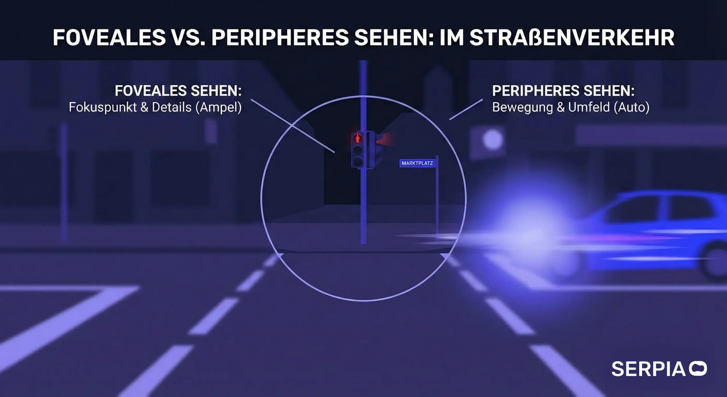 Unterschied: Foveales Sehen vs Peripheres Sehen am Beispiel Straßenverkehr. SERPIA & Gemini Infografik zum Neuromarketing