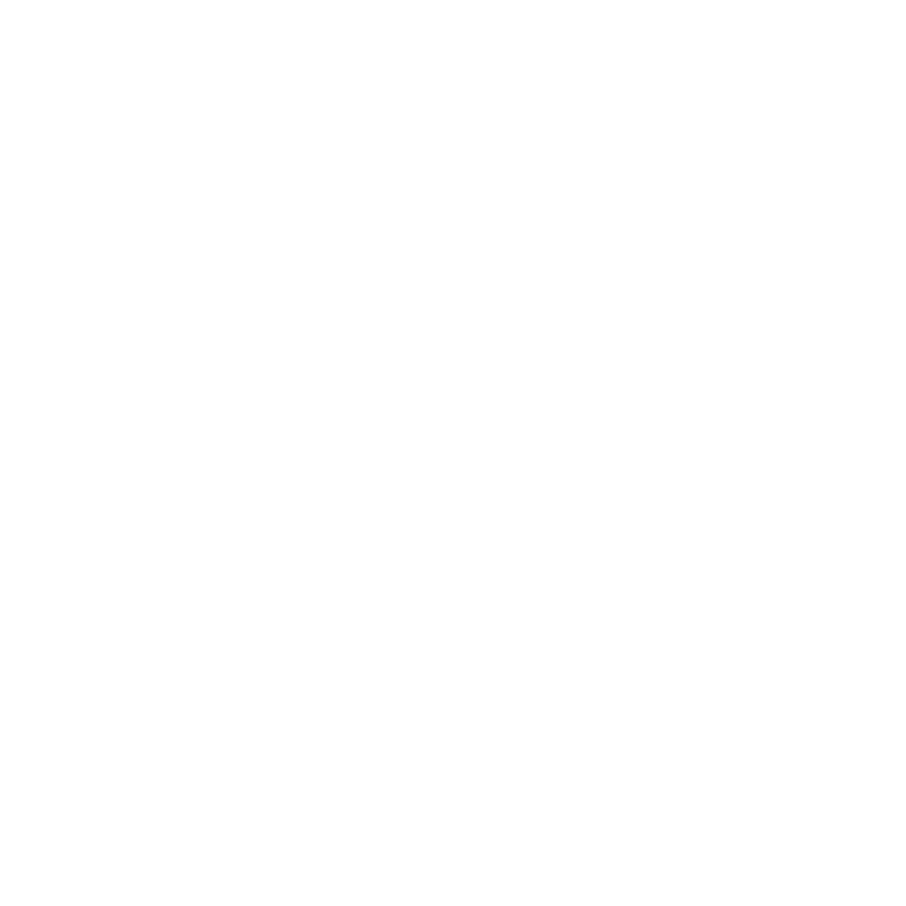 Playroom Logo