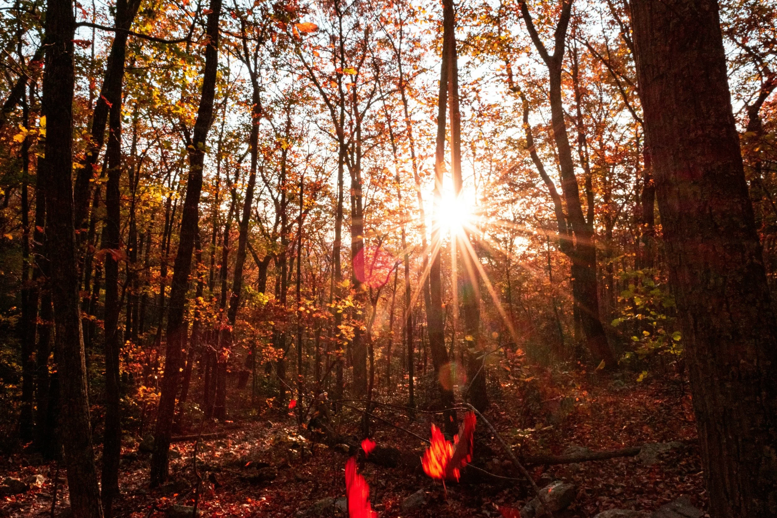 Fall Workshop Series