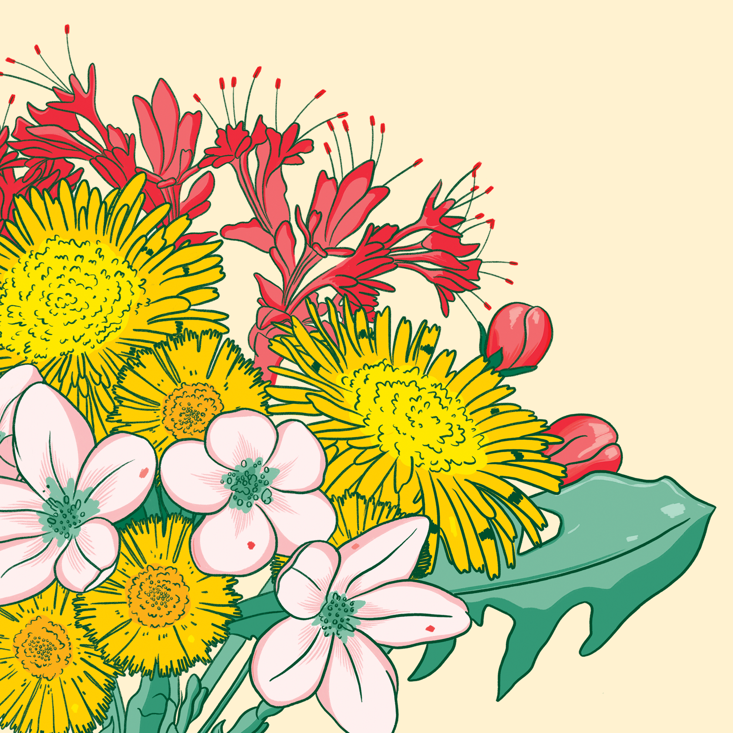 Illustration - Étiquette du miel Les voisines